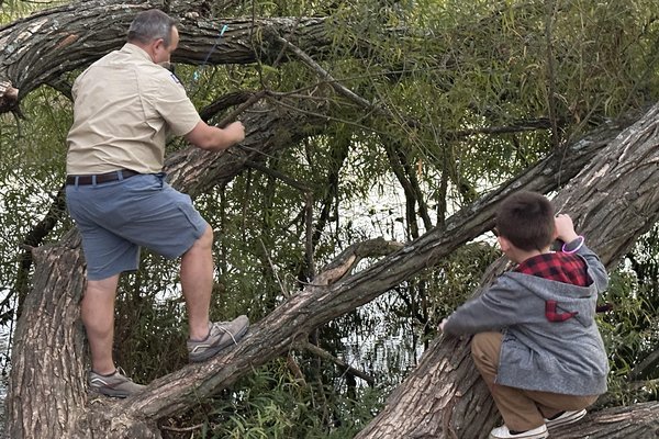 fishing from a tree